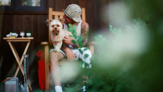 पैपराजी पैपराजी